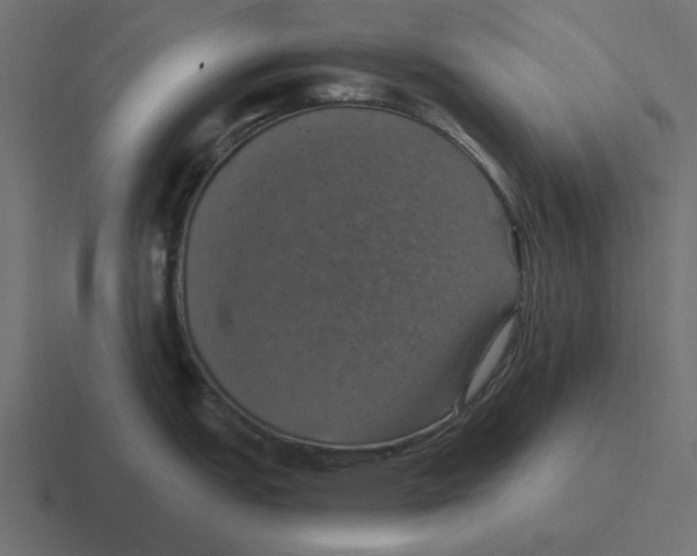 X0000116491151200912292100