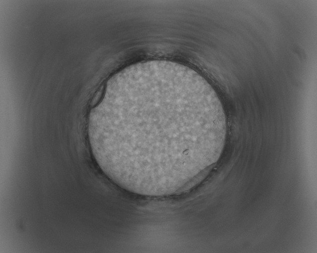 X0000116491153200912292100