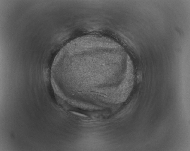 X0000116491156200912292100