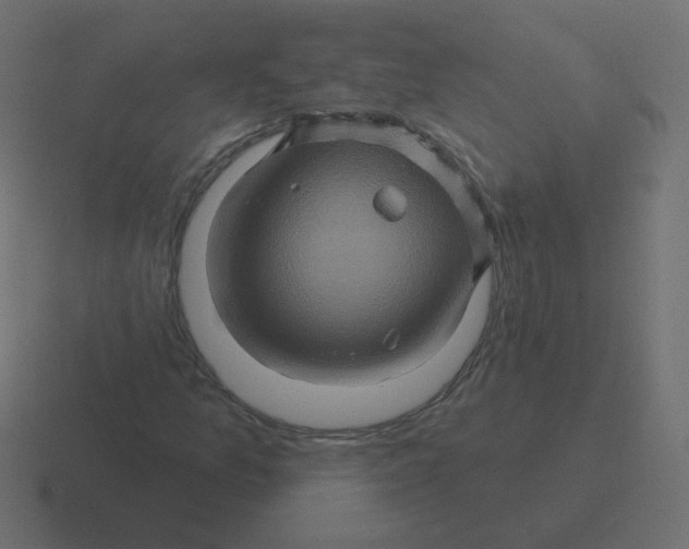 X0000116491157200912292100