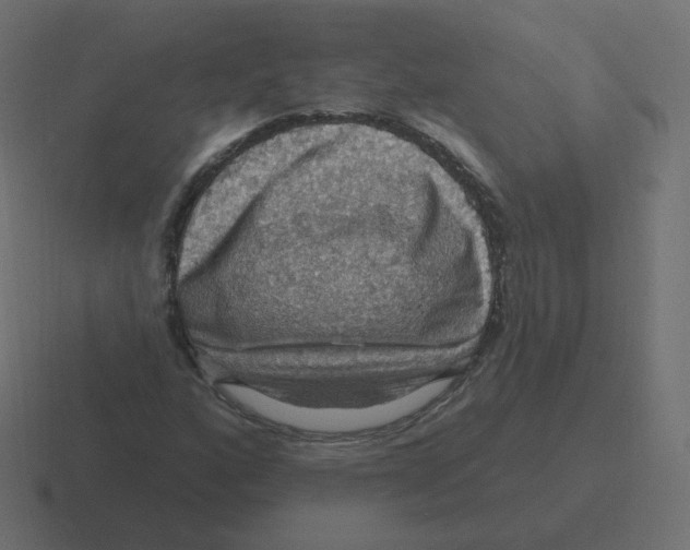 X0000116491160200912292100