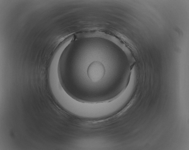 X0000116491161200912292100