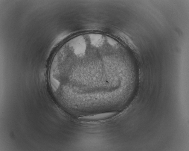 X0000116491164200912292100