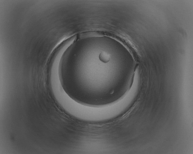 X0000116491165200912292100