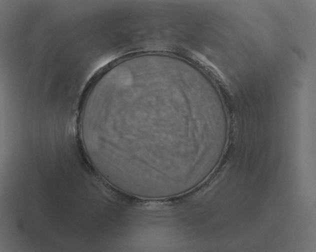 X0000116491166200912292100