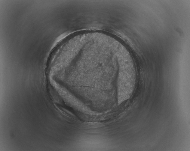 X0000116491168200912292100