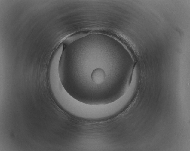 X0000116491169200912292100