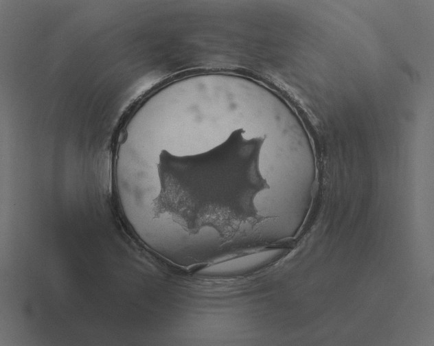 X0000116491171200912292100