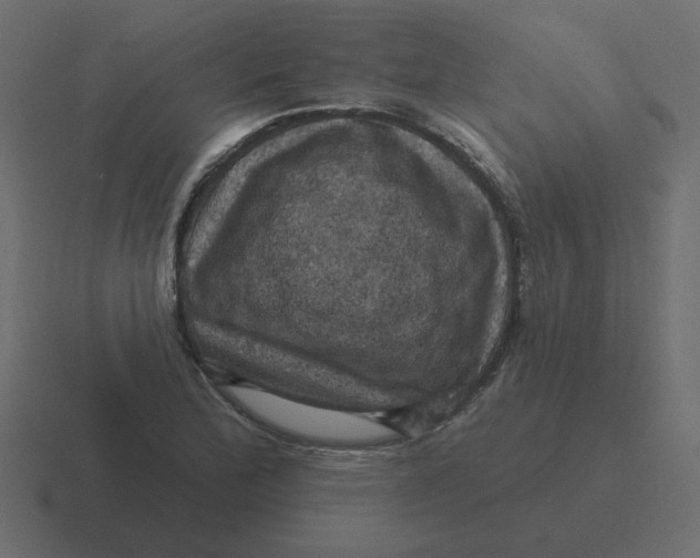 X0000116491172200912292100