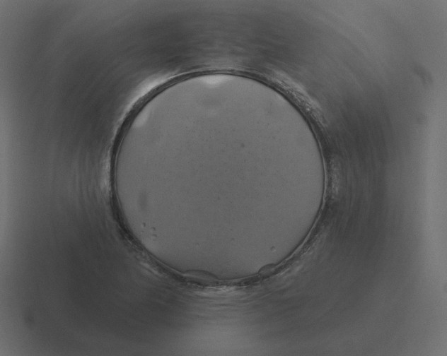 X0000116491174200912292100