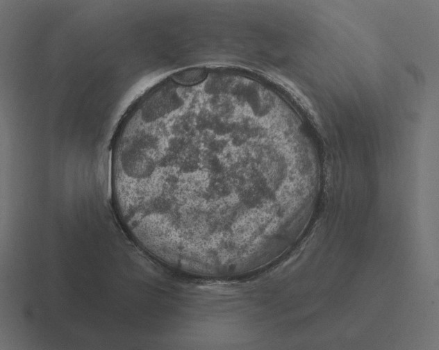 X0000116491175200912292100