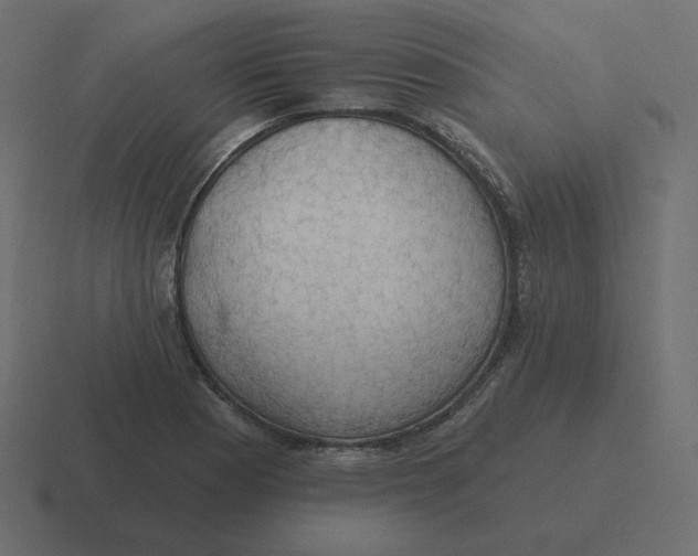 X0000116491177200912292059