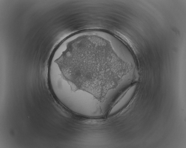 X0000116491179200912292059