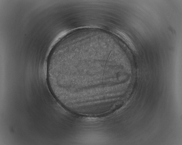 X0000116491180200912292059