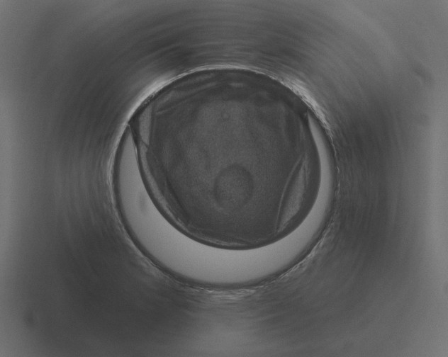 X0000116491181200912292059