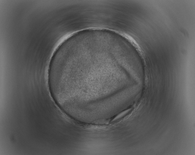 X0000116491183200912292059