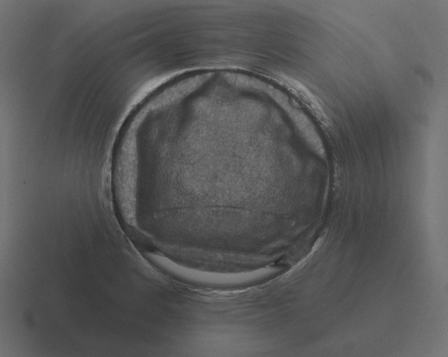 X0000116491184200912292059