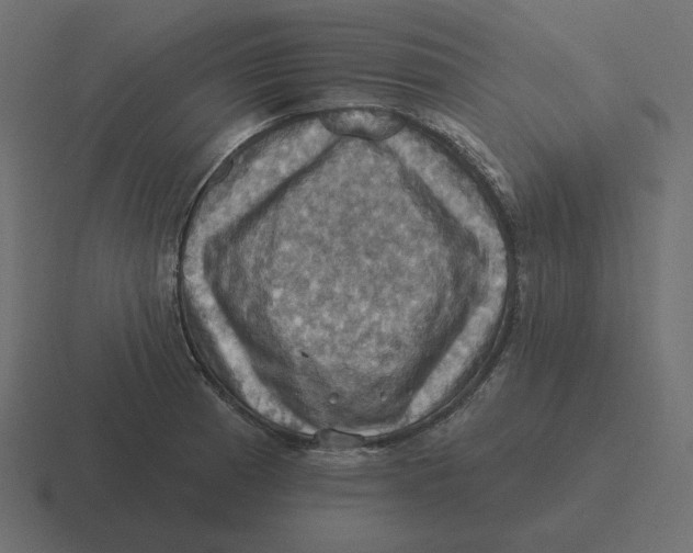 X0000116491185200912292059