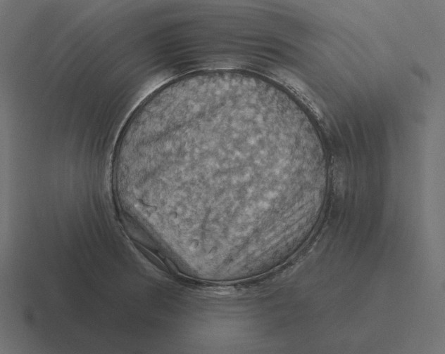 X0000116491186200912292059