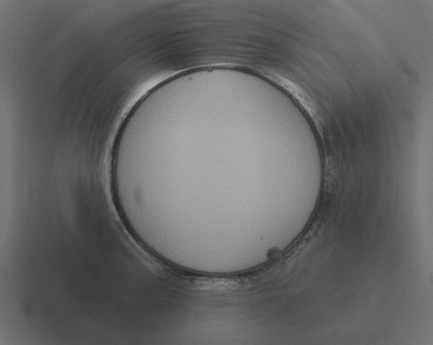 X0000116491187200912292059