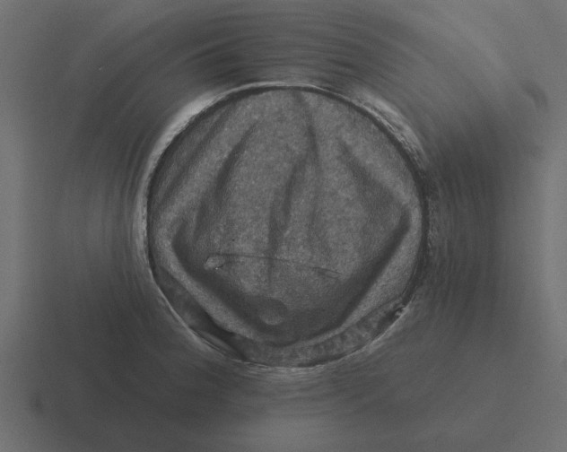 X0000116491188200912292059