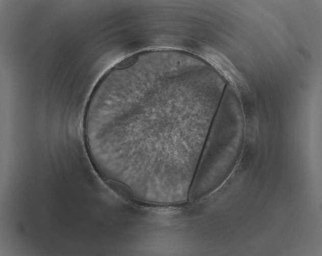 X0000116491189200912292059