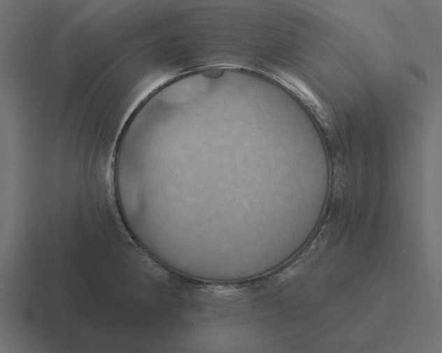 X0000116491190200912292059