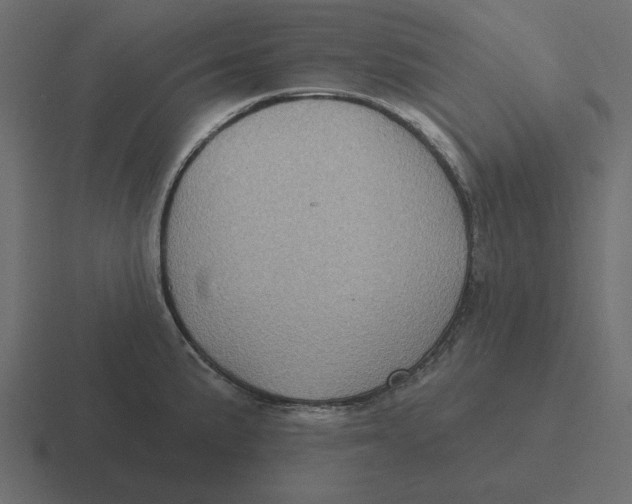 X0000116491191200912292059