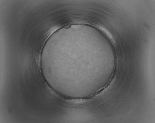 X0000116491193200912292059