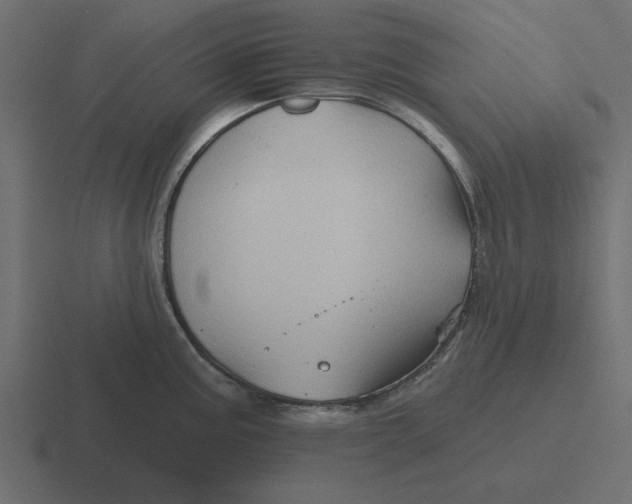 X0000116491195200912292059