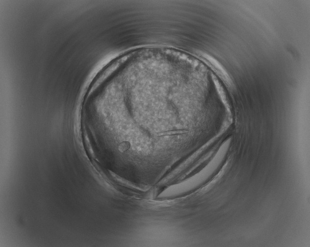 X0000116491196200912292059