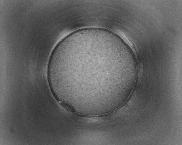 X0000116491197200912292059