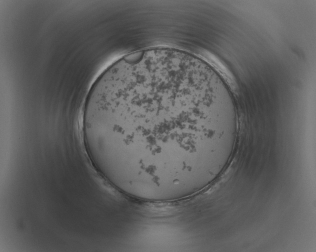 X0000116491198200912292059