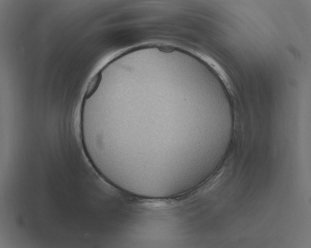 X0000116491199200912292059