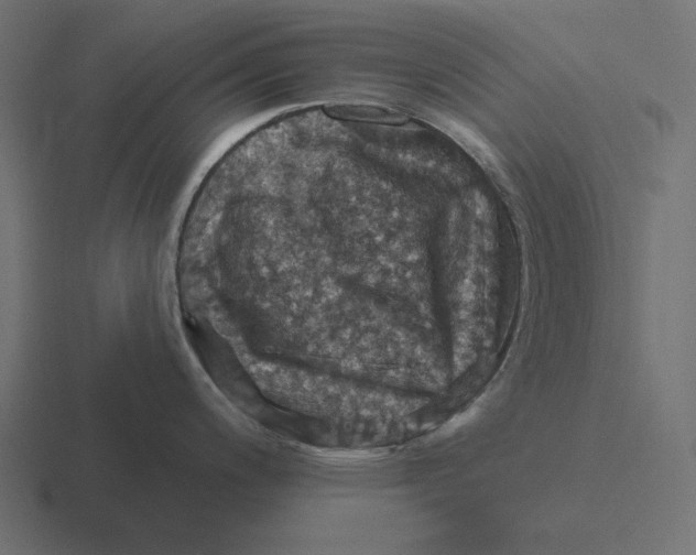 X0000116491200200912292059