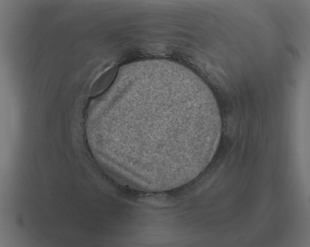 X0000116491201200912292059