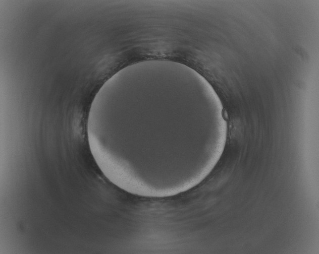 X0000116491202200912292059