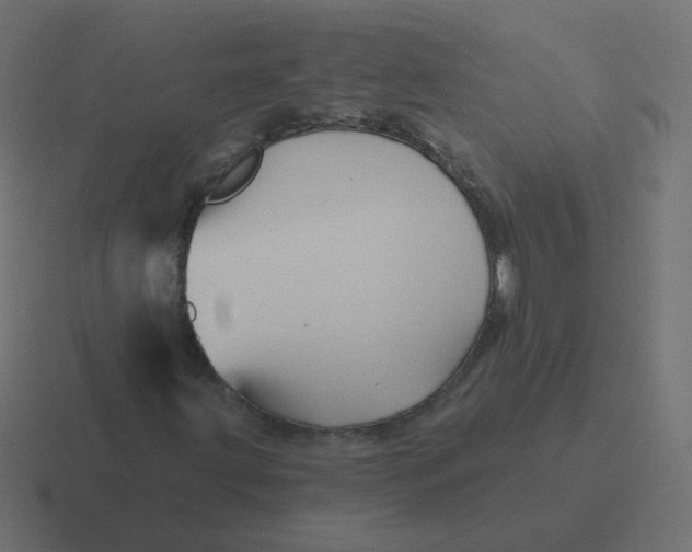 X0000116491203200912292059