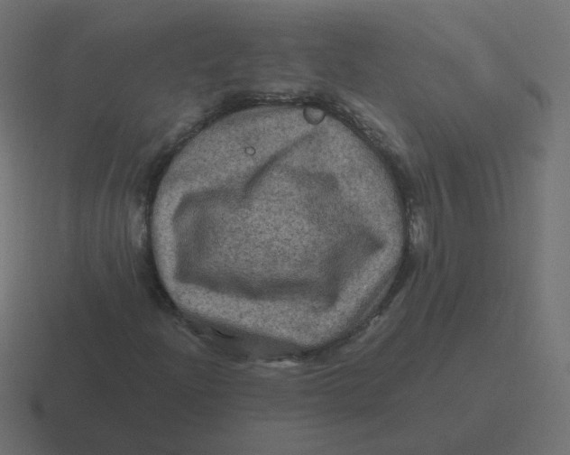 X0000116491204200912292059