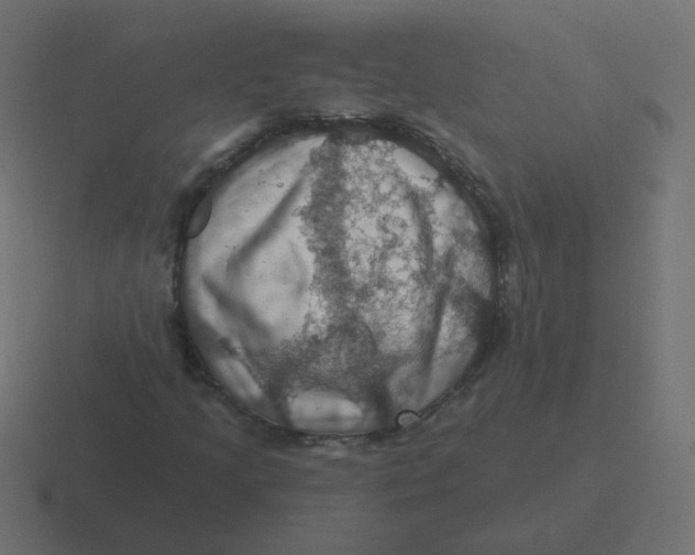 X0000116491205200912292059