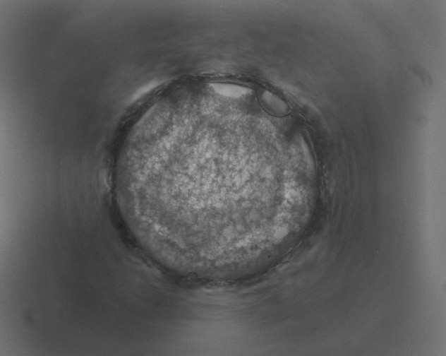 X0000116491206200912292059