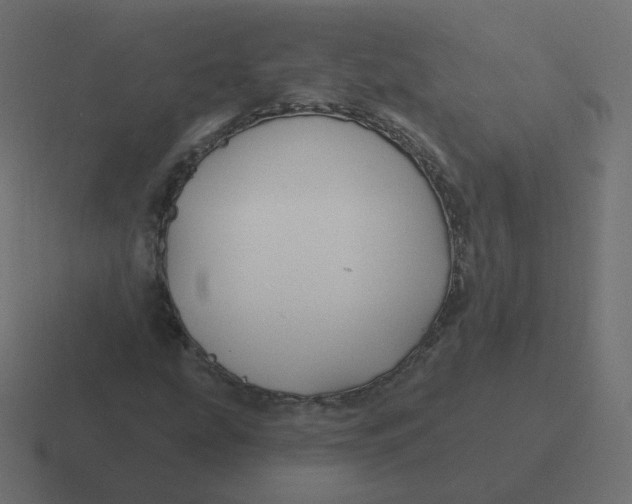 X0000116491207200912292059