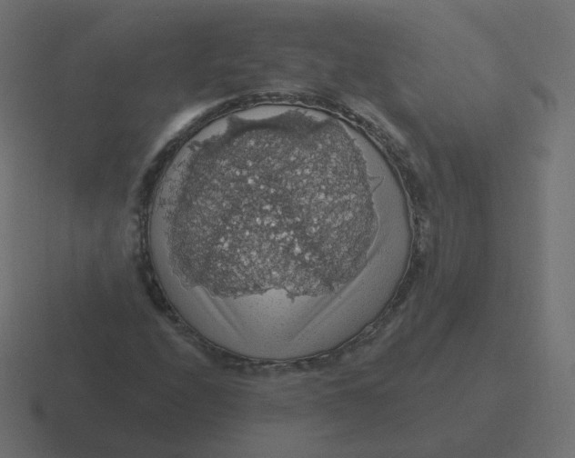 X0000116491208200912292059