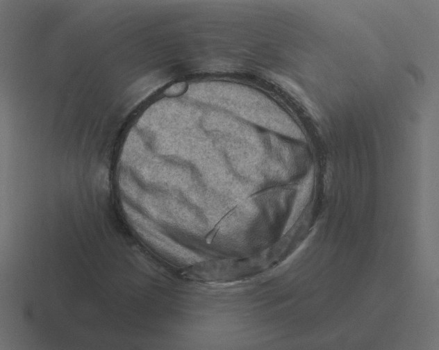 X0000116491209200912292059