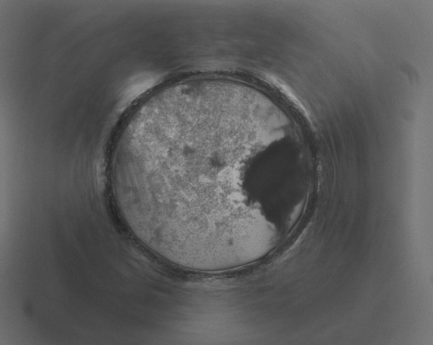 X0000116491213200912292059