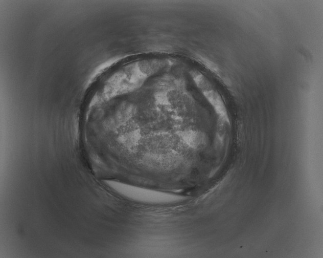 X0000116491214200912292059