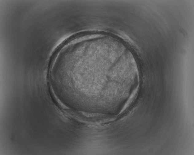 X0000116491216200912292059