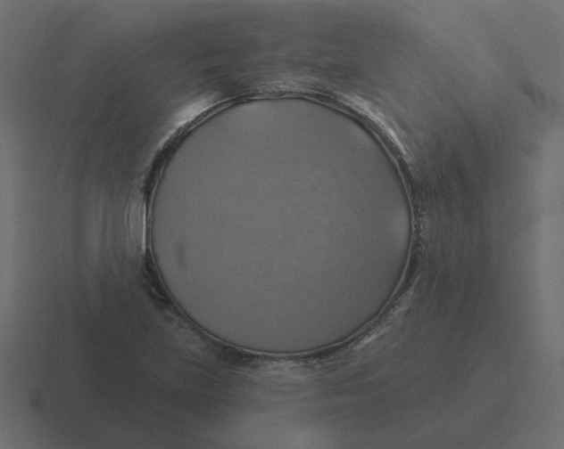 X0000116491219200912292059