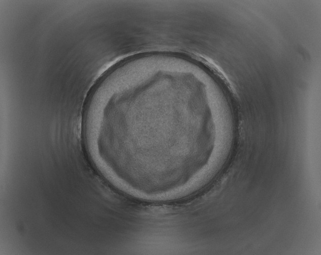 X0000116491220200912292059