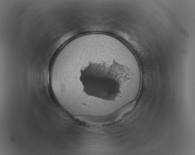 X0000116491221200912292059